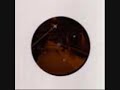 Aril Brikha - Deeparture In Time