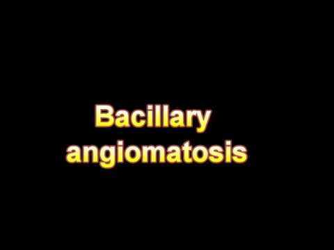 Header of bacillary