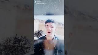 Kürtçe Tik Tok Videolar