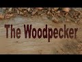 The Woodpecker Ep 24 Angle Drilling Jig