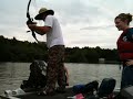 bow fishing with rip fletching giant fish fight