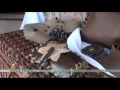 Mónica Peñalva -- Carteras y Accesorios Artesanales