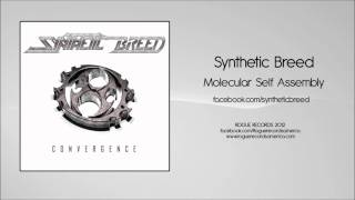 Watch Synthetic Breed Molecular Self Assembly video