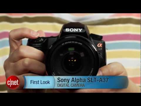 First Look: Sony Alpha SLT-A37: fast camera for frugal shooters