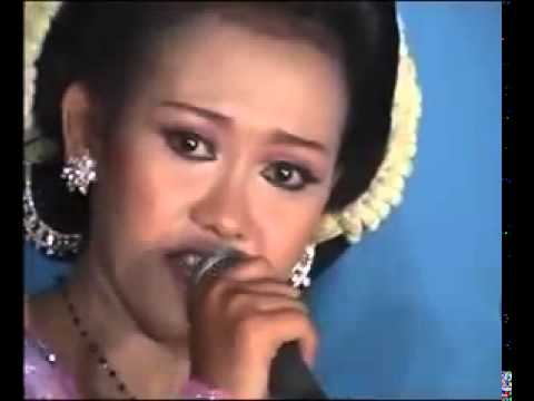 Campursari Ringkes TAK TERDUGA TIRAI CINTA ELYA SANJAYA "dangdut koplo 2014" Campursari Ringkes TAK TERDUGA TIRAI CINTA ELYA SANJAYA "dangdut koplo 2014" #1