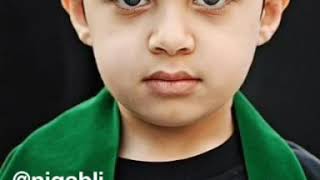 Gel Mehdi