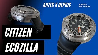 Antes E Depois - Citizen Ecozilla Aqualand