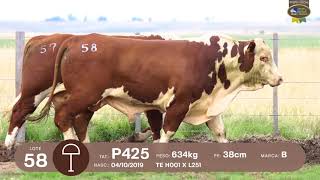 LOTE 57, 58 | Remate Braford Estância do Sossego 2021