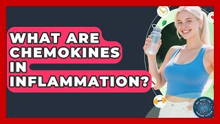 What Are Chemokines In Inflammation? - All About The Immune System