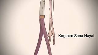 Kırğınım Sana Hayat