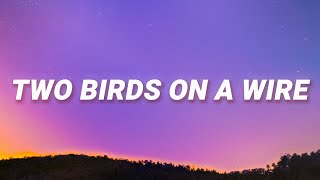Watch Regina Spektor Two Birds video