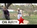 Cima humor - Gruja dreq