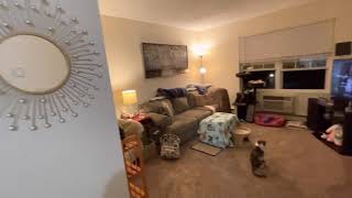 LIFE UPDATE: I MOVED! Take a tour of my one-bedroom apartment!