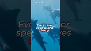 Humans Are The Only Species That Pay To Live