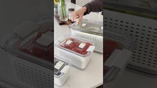 Keep Fruits & Veggies Fresh Longer With This Fridge Box