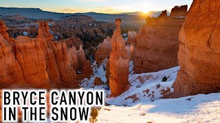Did We Survive Sub-Zero Temperatures at Bryce Canyon? Featuring the New Sigma 20mm f/2 DG DN | C