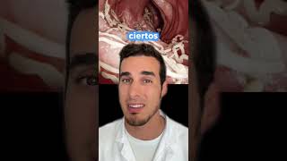 Parásitos Y Bruxismo En Niños - Lombrices Intestinales Y Rechinar Los Dientes