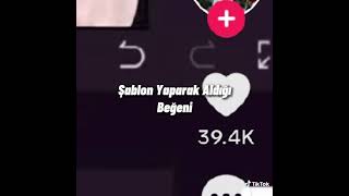Eneke Saygı