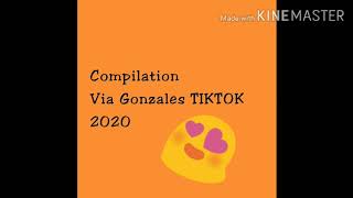 Compilation Of Via Gonzales Tiktok 2020