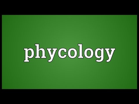 Header of phycology