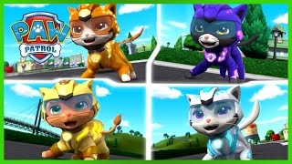Cat Pack PAW Patrol Rescues 😺| PAW Patrol | Cartoons for Kids Compilation