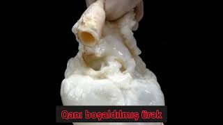 Ölməmişdən Qabaq Yaxşı Ki, Gördüm Deyəcəyiniz Maraqlı Şəkillər. Durum Videoları. Statuslar Video