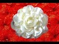 Moños para el cabello camelias en tela paso a paso