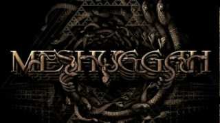 Watch Meshuggah Do Not Look Down video