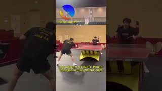 Wttc Doha 2025 - Wang Chuqin Is A Machine