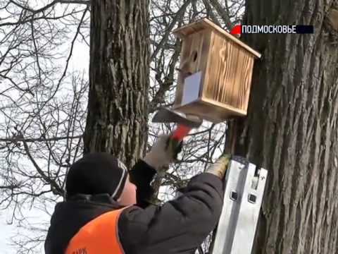 Скворечник на ютубе Скворечник на ютубе