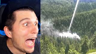 Paluten Reagiert Auf 1 In Einer Billion Momente In Der Natur