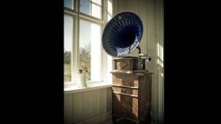 Watch Calathea Over Real Days video