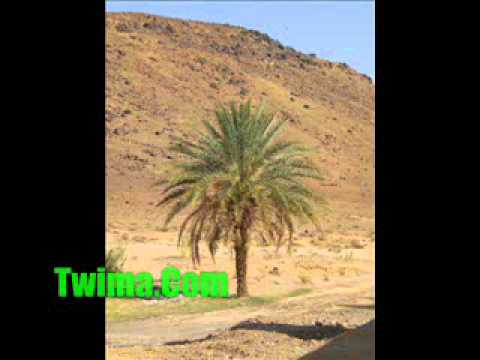 Rirou Saghru Band مجموعة صاغرو