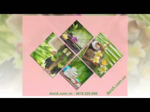 10 bức tranh spa hoa phong lan treo tường đẹp nhất AmiA.com.vn