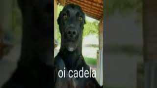 Automotivo Novinho Depressivo - Dj Brunin Xm & Mc Lullu Speed Song