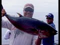 DAIWA SALTIST