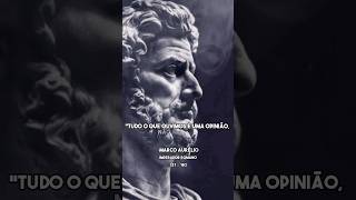 Não Deixem Que Opiniões Lhe Afetem