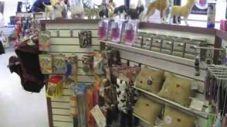 Bark Avenue Salon & Boutique For Pets Burnt Hills NY