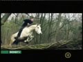 Kassai Lajos lovasíjász a Világ-panorámában - Echo Tv