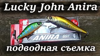 Воблер Lucky John Anira — подводная съемка