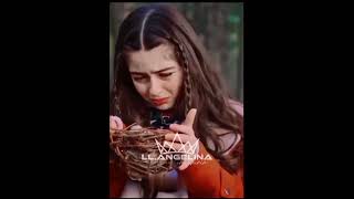 Elif Iskender