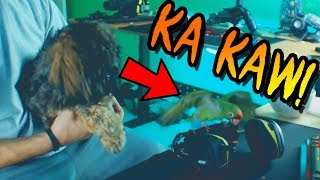 FUNNY MOMENTS LMAO!