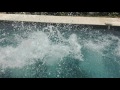 Ronsard Video preview