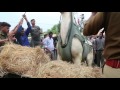 Video Shaktiman Official Trailer a film by Vinod Kapri.. трейлеры смотреть онлайн хороший качества. Video Shaktiman Official Trailer a film by Vinod Kapri.. трейлеры смотреть онлайн хороший качества.