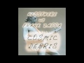 010 Wise Frank Zappa - Cosmic Debris