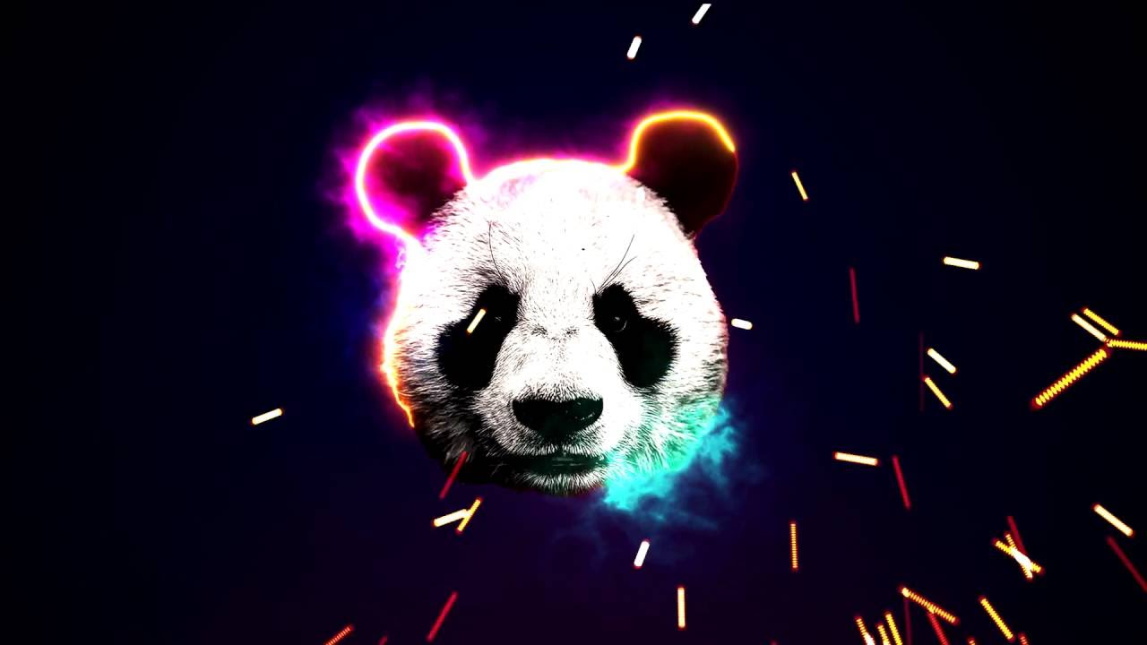 Designer panda official pics