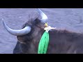 ESPECTACULAR COGIDA AL TORERO DE MUERTE, EN LA CORRIDA DE TOROS 2013 EN HUAQUIRCA ,ANTABAMBA.