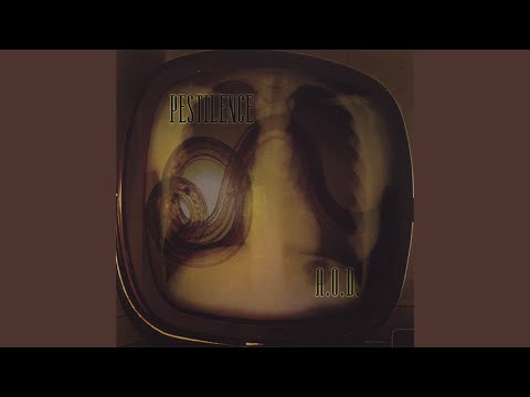 Beyond Evolution Video