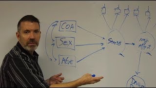 SEM Episode 4: The Structural Equation Model
