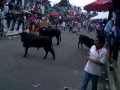 chino huamantlada 2013